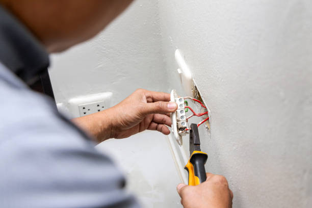 Best Generator Installation Services  in Woodlawn Beach, FL