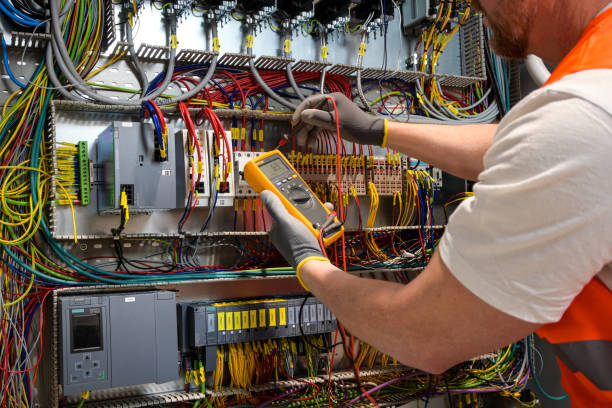 Best Affordable Electrician  in Woodlawn Beach, FL