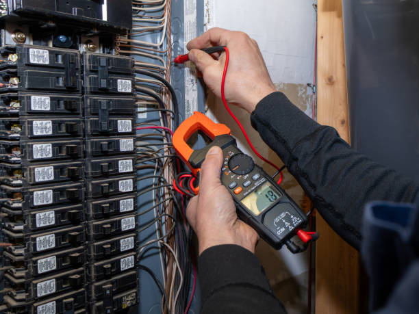 Best Residential Electrician Services  in Woodlawn Beach, FL