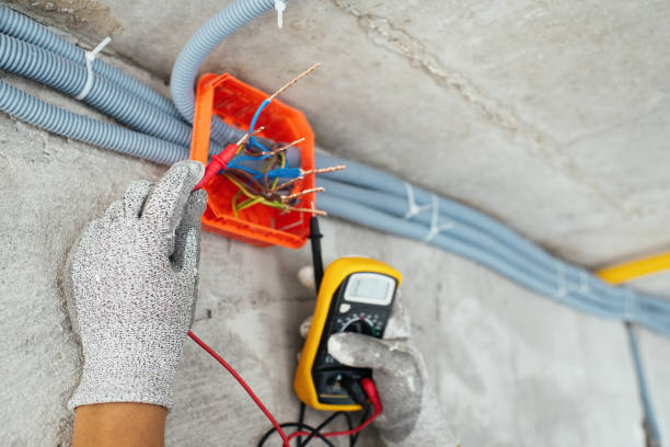 Best Electrical System Inspection  in Woodlawn Beach, FL