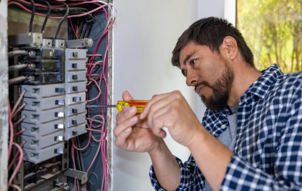 Best Residential Electrician Services  in Woodlawn Beach, FL